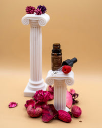 Parfum - Bosvruchten (10ml)